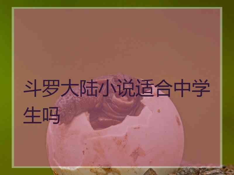 斗罗大陆小说适合中学生吗