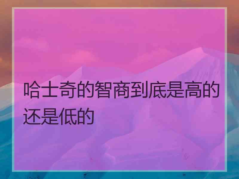 哈士奇的智商到底是高的还是低的