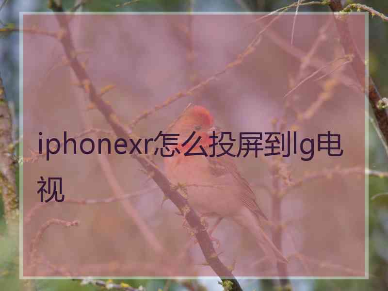 iphonexr怎么投屏到lg电视