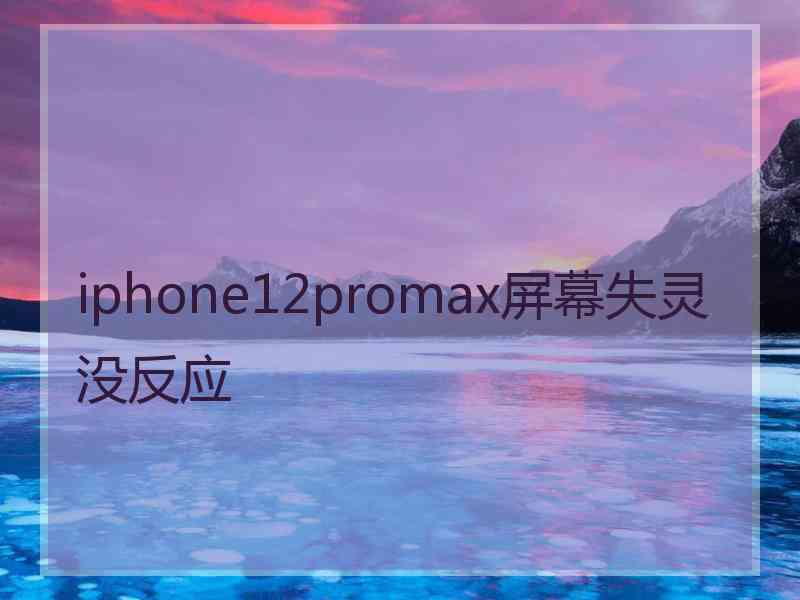 iphone12promax屏幕失灵没反应