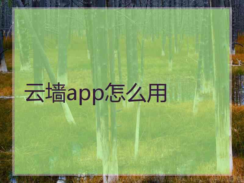 云墙app怎么用