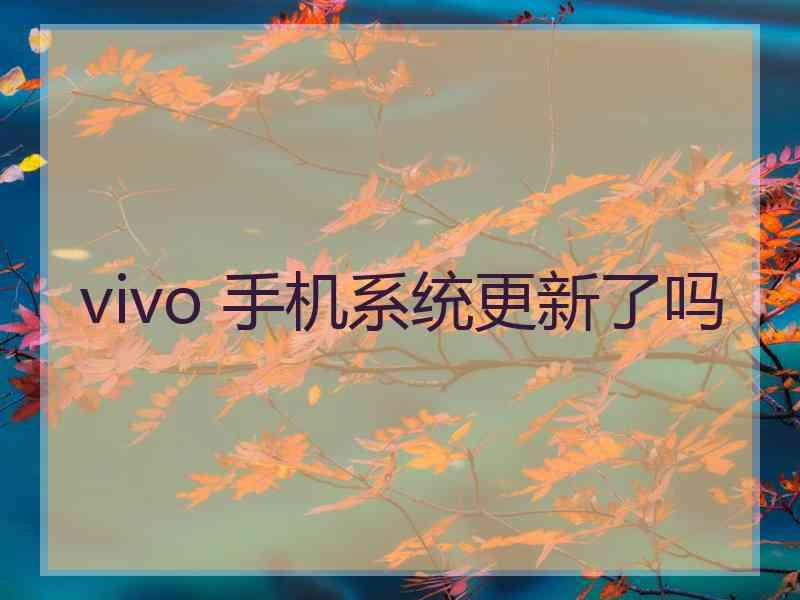 vivo 手机系统更新了吗