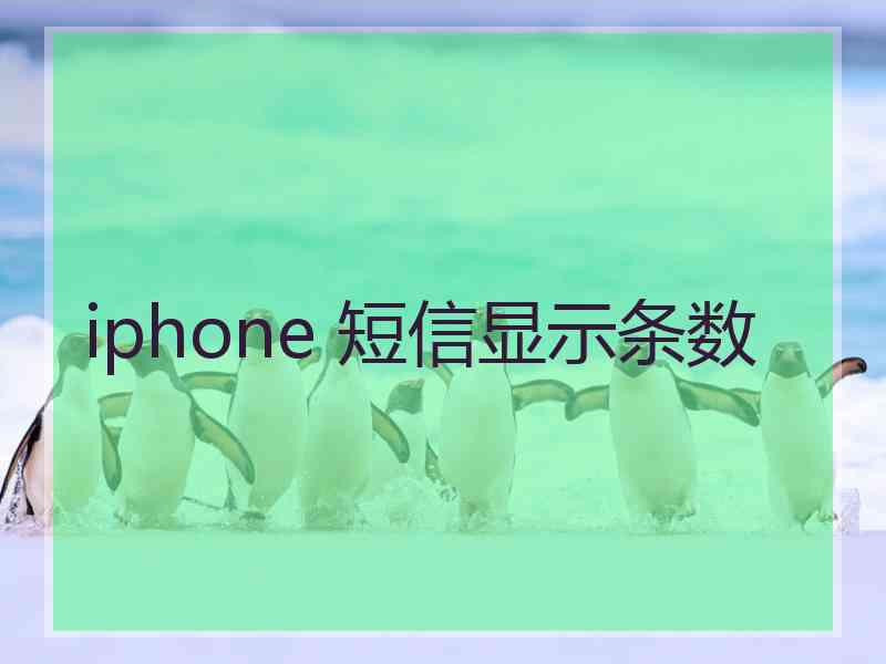 iphone 短信显示条数