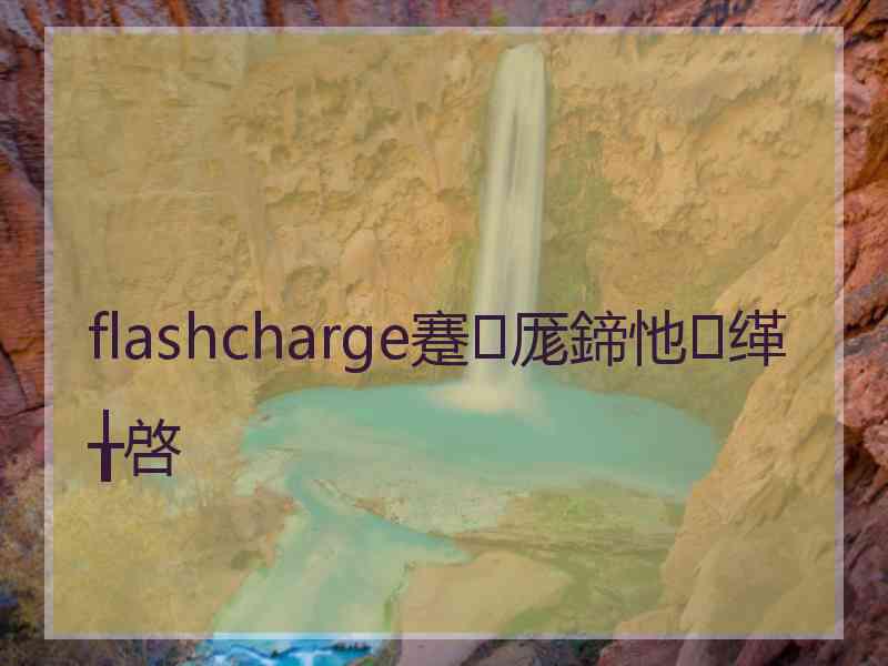 flashcharge蹇厖鍗忚缂╁啓