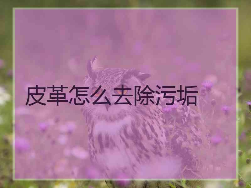 皮革怎么去除污垢