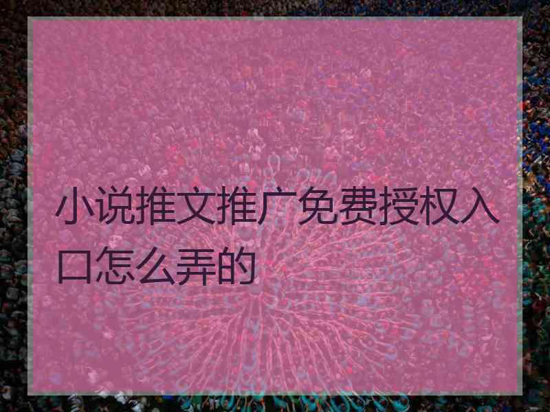 小说推文推广免费授权入口怎么弄的