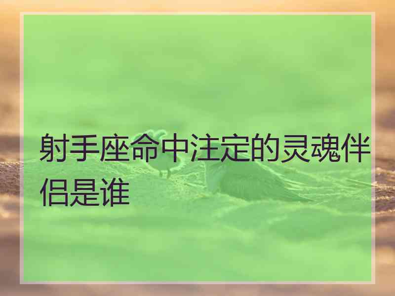 射手座命中注定的灵魂伴侣是谁