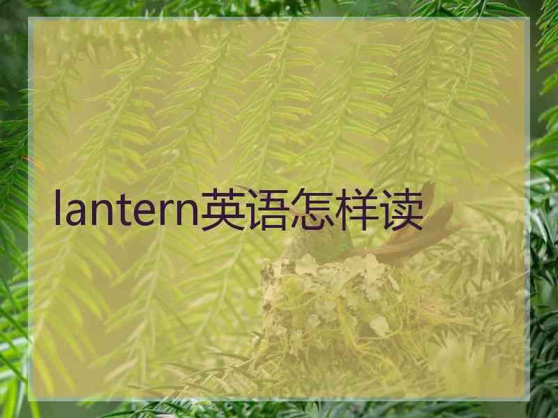 lantern英语怎样读