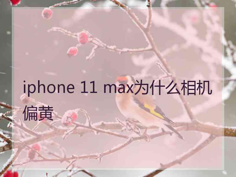 iphone 11 max为什么相机偏黄