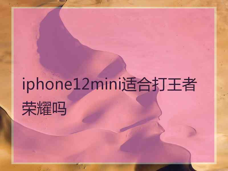 iphone12mini适合打王者荣耀吗