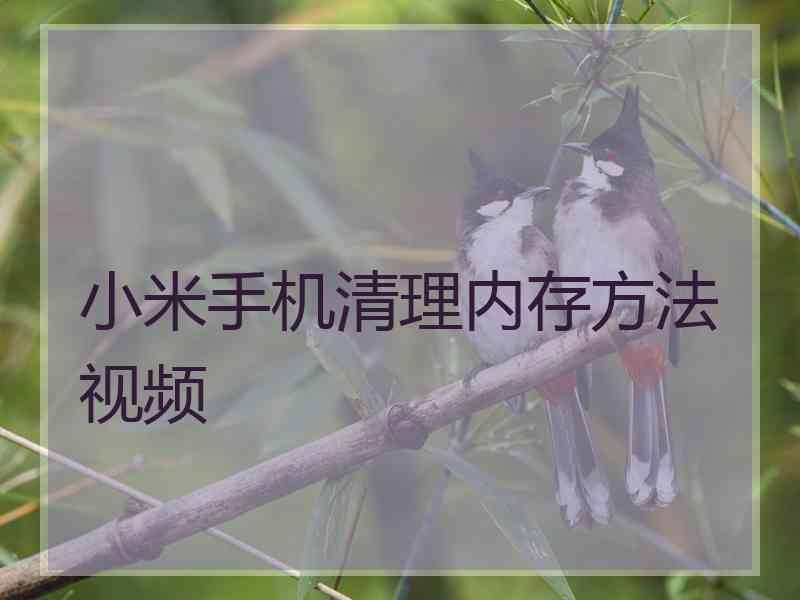 小米手机清理内存方法视频