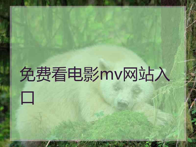 免费看电影mv网站入口