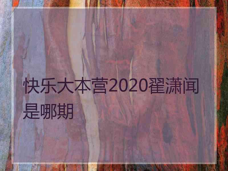 快乐大本营2020翟潇闻是哪期