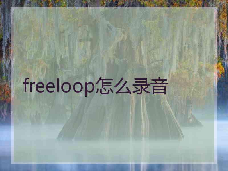 freeloop怎么录音