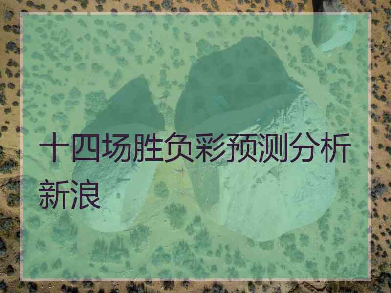 十四场胜负彩预测分析新浪