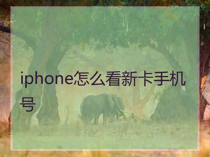 iphone怎么看新卡手机号