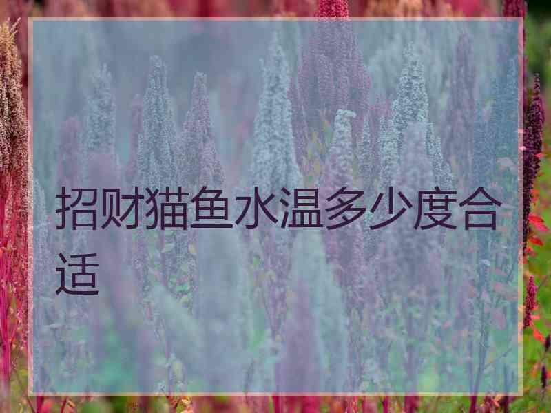 招财猫鱼水温多少度合适