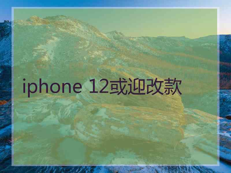 iphone 12或迎改款