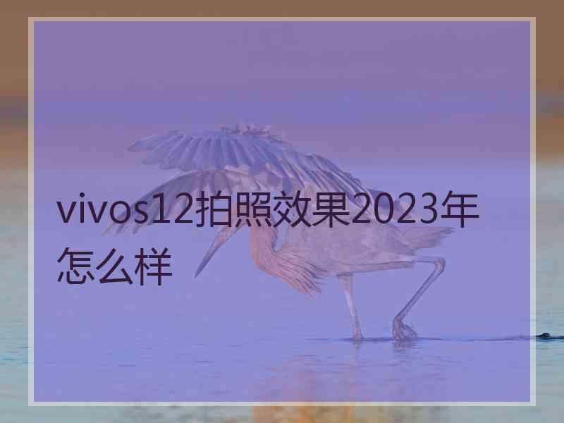 vivos12拍照效果2023年怎么样