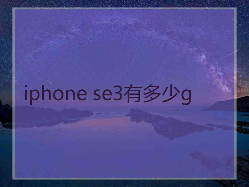 iphone se3有多少g