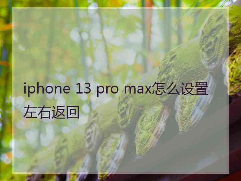 iphone 13 pro max怎么设置左右返回