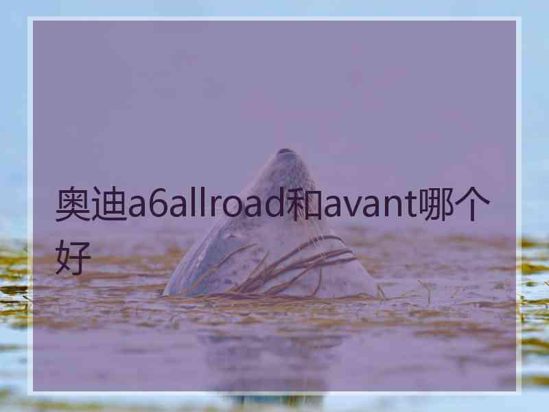 奥迪a6allroad和avant哪个好