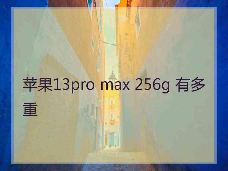 苹果13pro max 256g 有多重