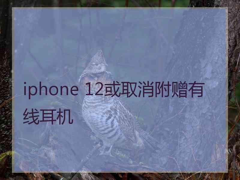 iphone 12或取消附赠有线耳机