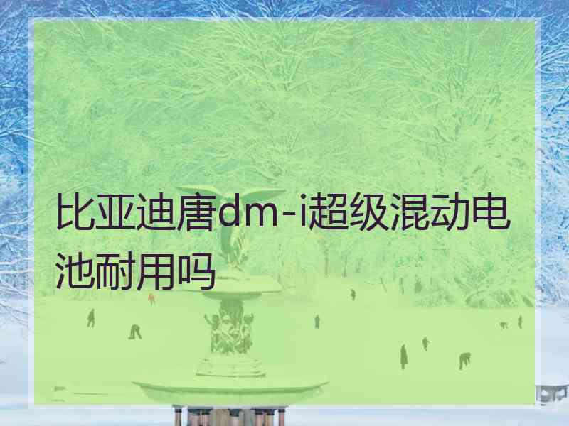 比亚迪唐dm-i超级混动电池耐用吗