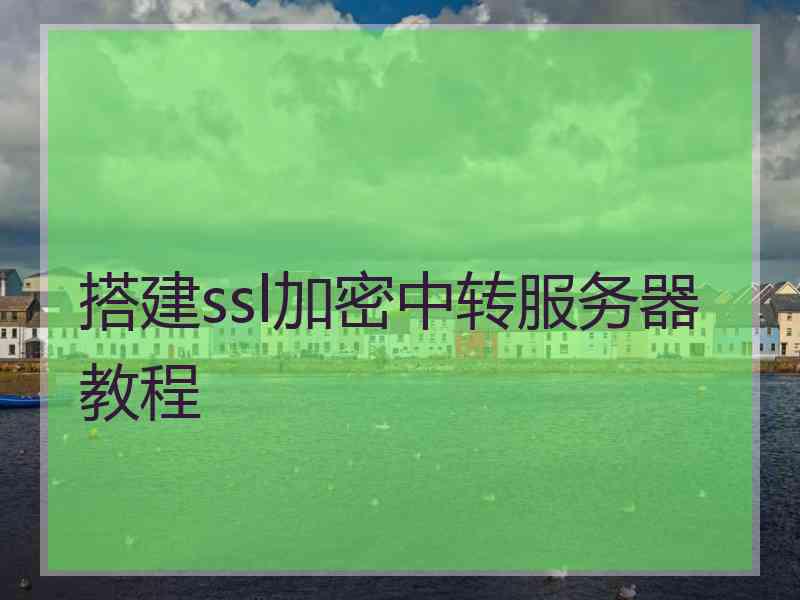 搭建ssl加密中转服务器教程