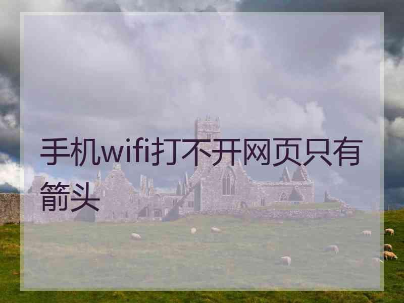 手机wifi打不开网页只有箭头