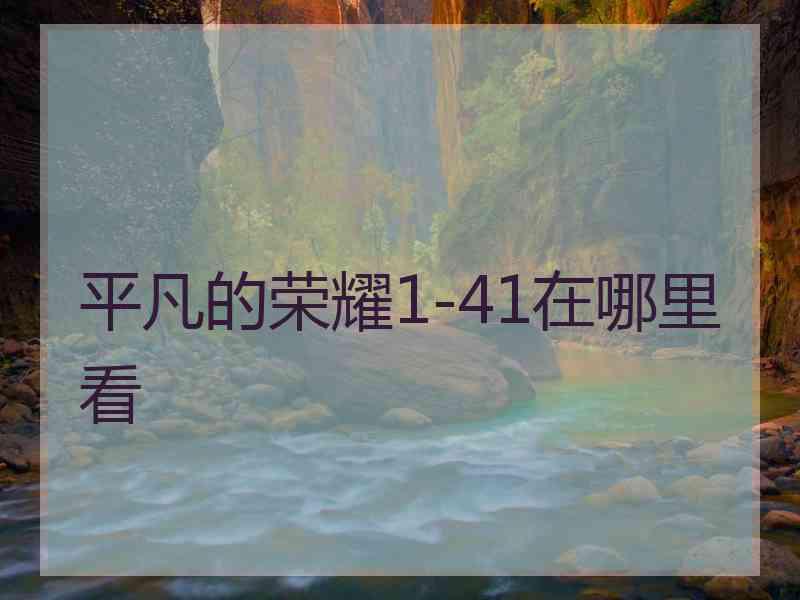 平凡的荣耀1-41在哪里看