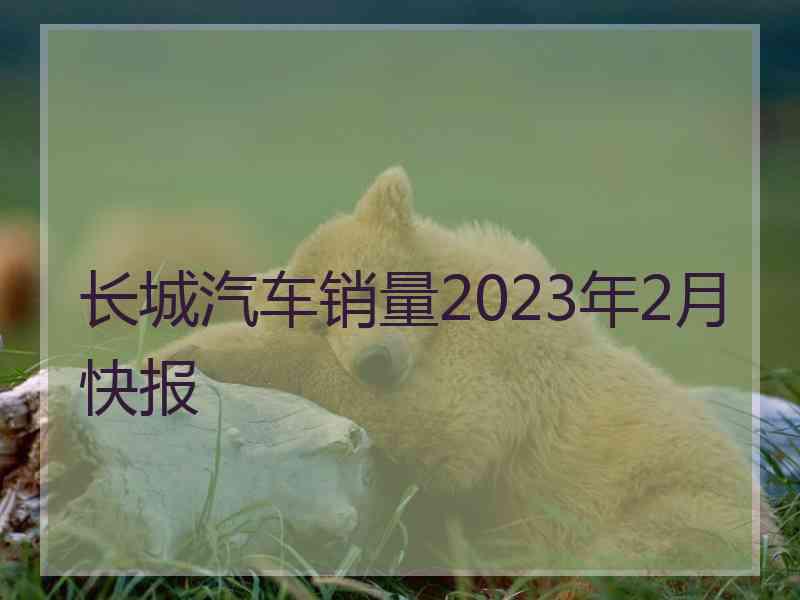 长城汽车销量2023年2月快报