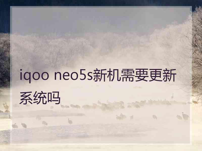 iqoo neo5s新机需要更新系统吗