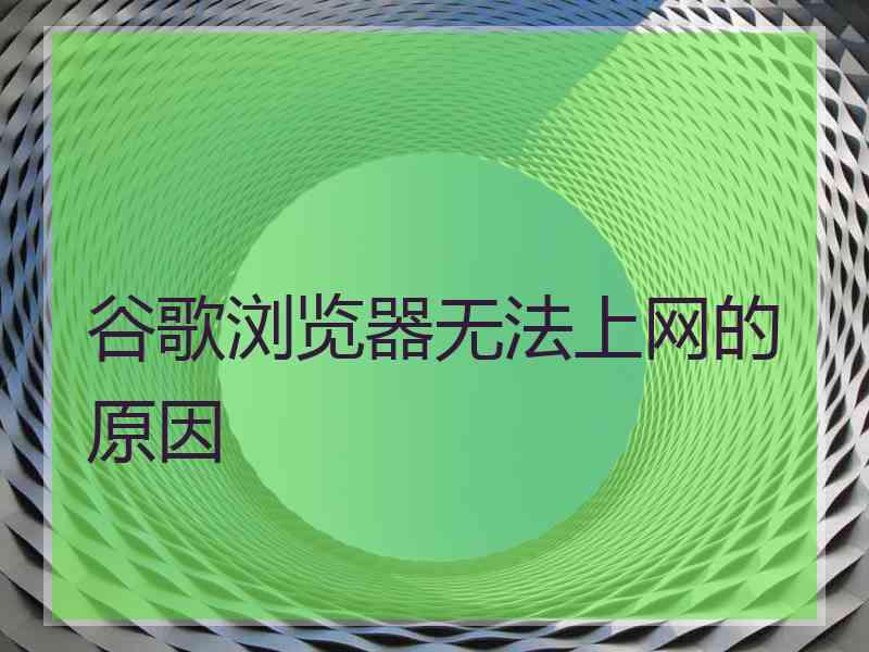 谷歌浏览器无法上网的原因