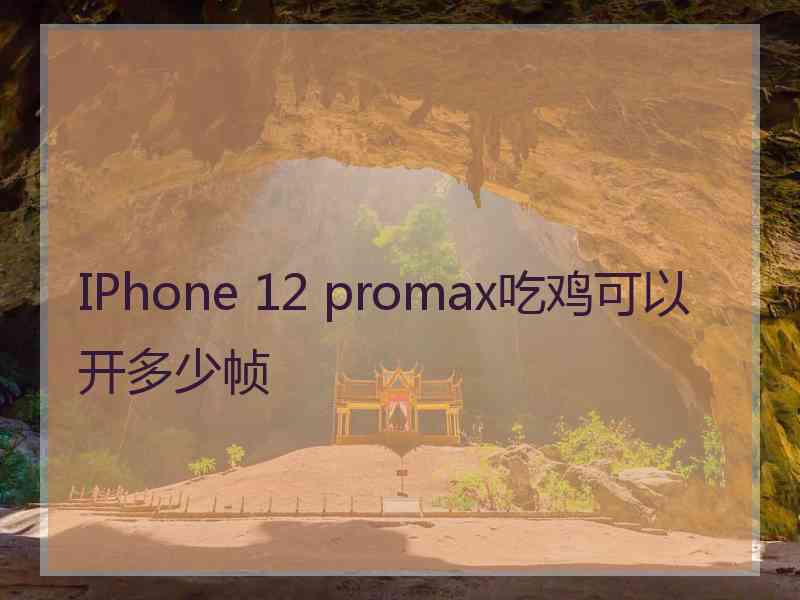 IPhone 12 promax吃鸡可以开多少帧