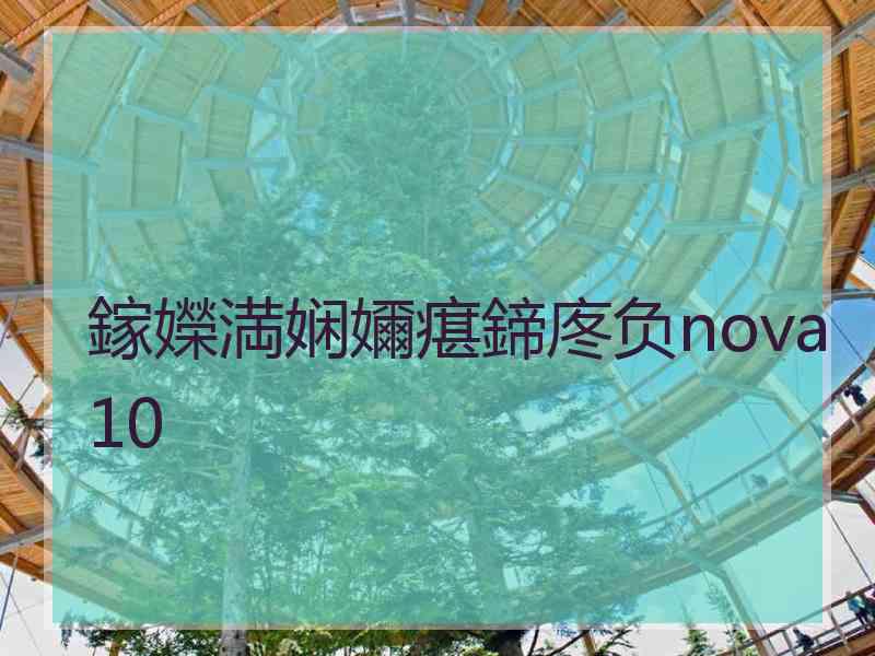 鎵嬫満娴嬭瘎鍗庝负nova10