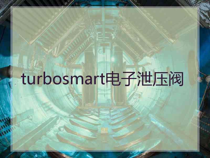 turbosmart电子泄压阀