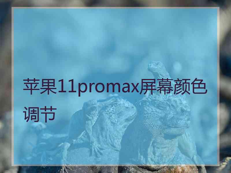 苹果11promax屏幕颜色调节