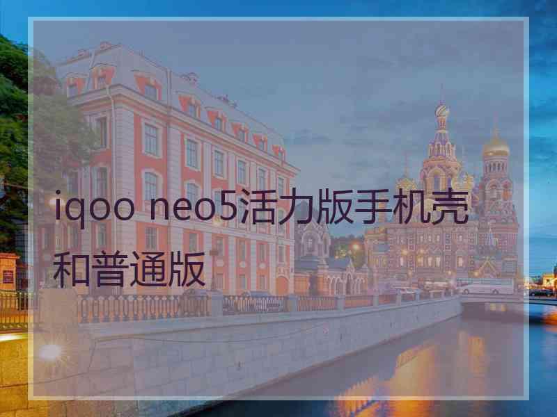 iqoo neo5活力版手机壳和普通版