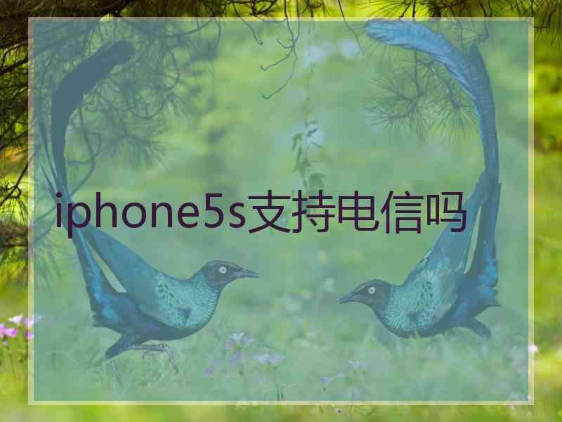 iphone5s支持电信吗