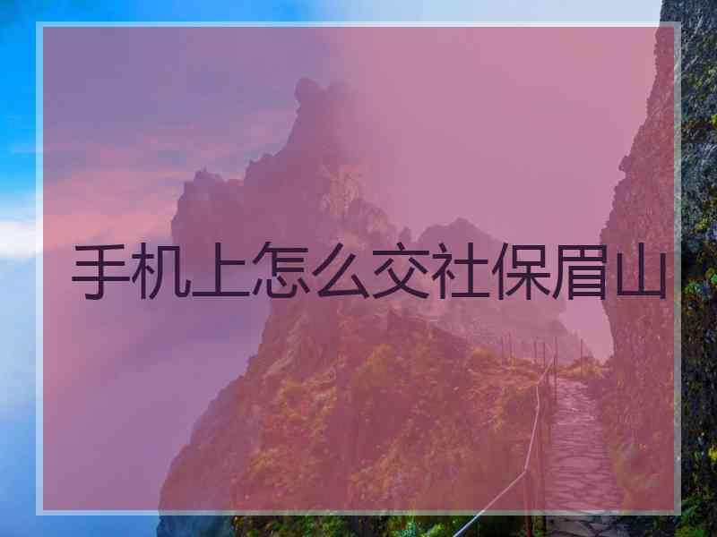 手机上怎么交社保眉山