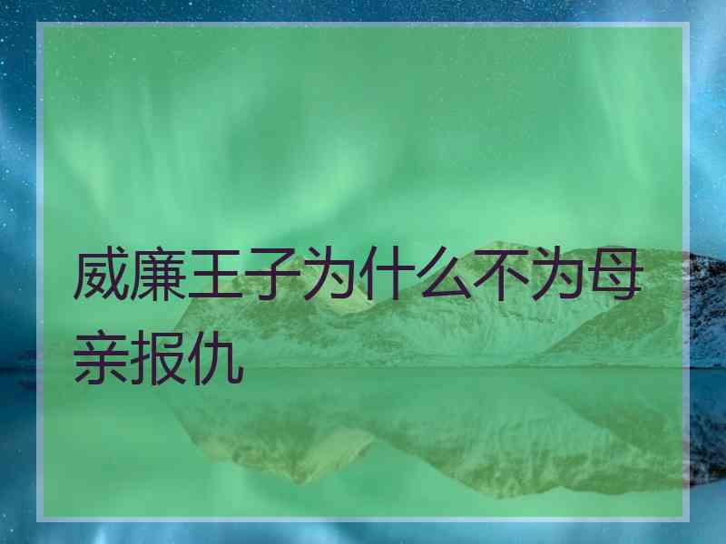 威廉王子为什么不为母亲报仇