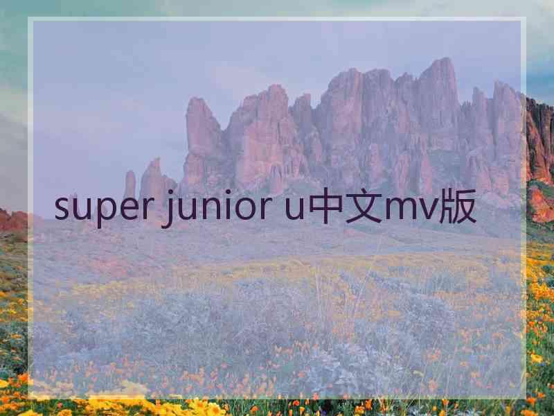 super junior u中文mv版