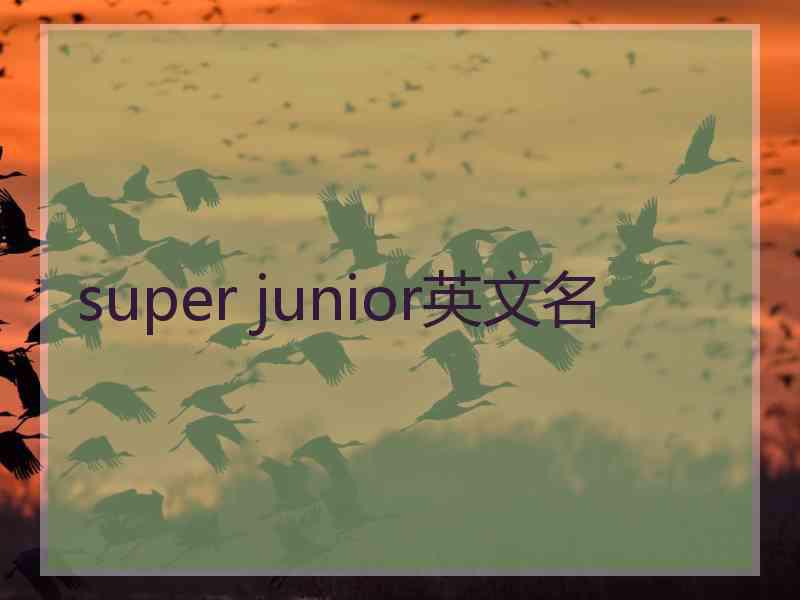 super junior英文名