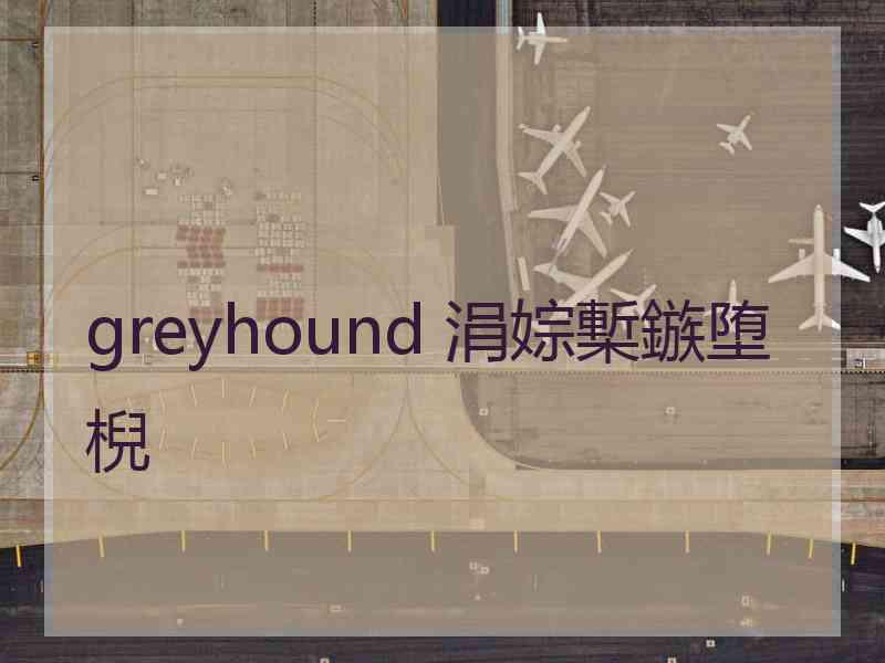 greyhound 涓婃槧鏃堕棿