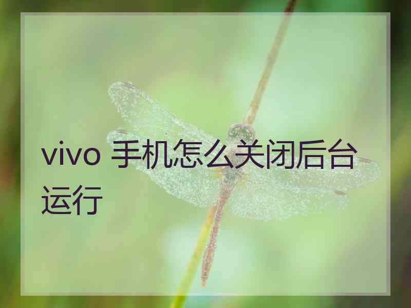 vivo 手机怎么关闭后台运行