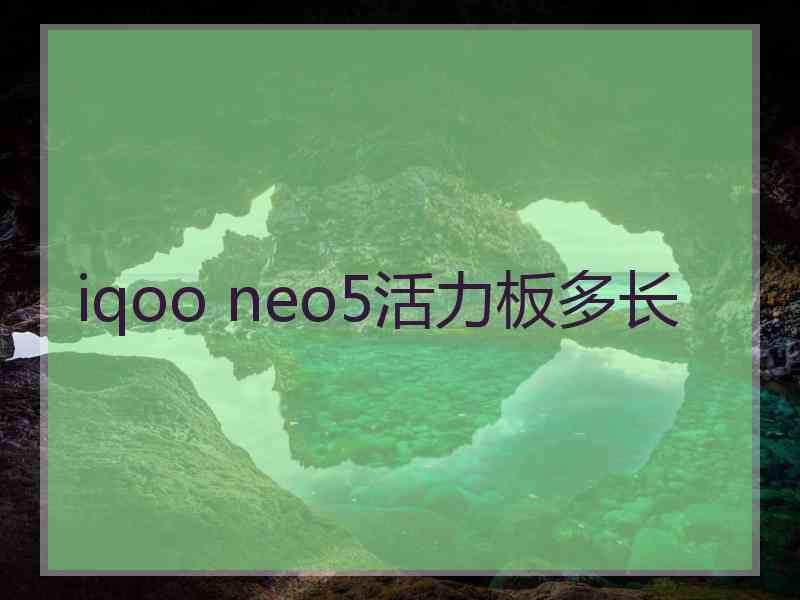 iqoo neo5活力板多长