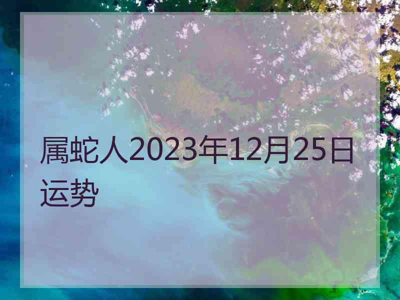 属蛇人2023年12月25日运势