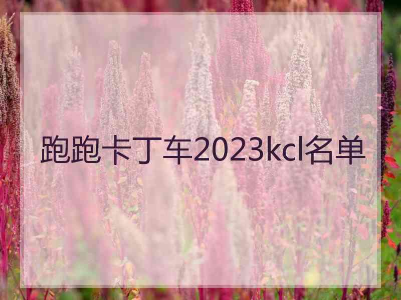 跑跑卡丁车2023kcl名单